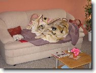 Tak jo, půlku deky ti pujčím!