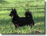 Alva a Barborka z Třebaňského údolí