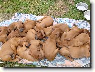 Hlavně aby bylo teploučko :-)