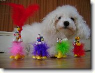 kamarádi - neživý