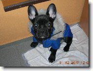 Kabátek ušitý na míru.