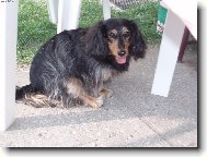 Právě jsem doběhla