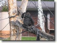 klídek,pohodička,žádná křeč...