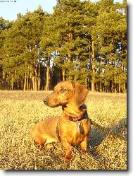 málo kdo by věřil, že je to foceno v lednu