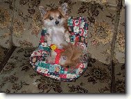 bezpečnost především