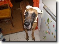 Proč to nemám slyšet?