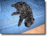 to je ta správná poloha