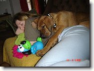 Po dobrém obědě malý šlofíček neuškodí