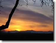 stojí za to si přivstat