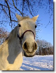 trochu zvědavější...