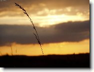 Rovnováha............