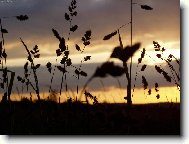 Setkání.............