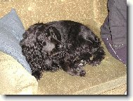 šoupni se, nemám tu místo