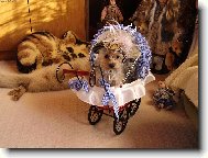 Prostě k sežrání...