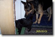 kamarádi : Lucie + Falo