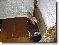 lítání mně fakt baví