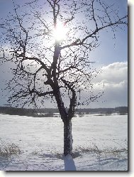 od Kostelce k Jevanům