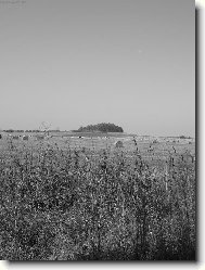 Podzim pod Bezdězem