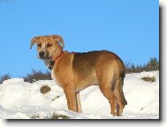 Den je krásný......