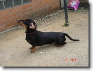 Naše Dorotka Květáková princezna