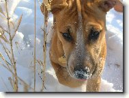 To bílé mi dělá trochu vrásky...co je to?