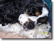 To se mi to spinká :-)