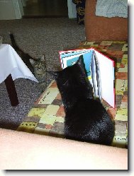 ...sebevzdělávání...