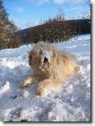 Konečně snížek!!!