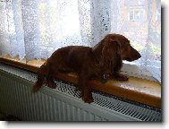 moje nejoblíbenější místečko