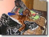 ZASÍNÁME,JDE SE NA KUTĚ