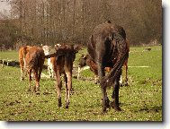 společně táhnem světem...