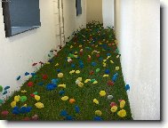 Rostlina příštího století