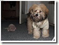 Sundej to ze mě nebo...