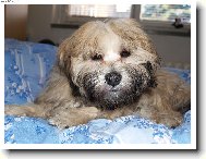 Co?Cože?Hmm nech mě spát.