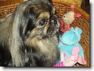 Bíďa se svými kamarády....