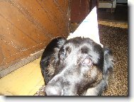 Zuza slaví Silvestr