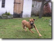 Jsem rychlý jako vítr!