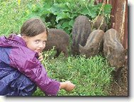 Markétka a divočáci