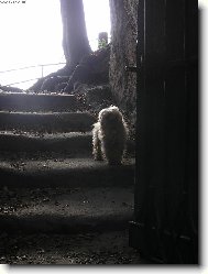 Akim 2006 poslední výlet do přírody