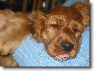 Jaksi spokojeně spinkám