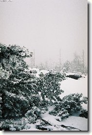 Krušné hory v Sasku