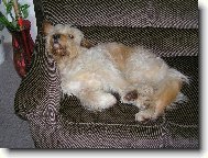 Pohoda,klídek a leháro . . .