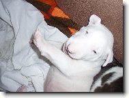 Už jsem o malinko větší