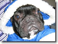 Jsem připravená na zimu, ale sníh nikde!