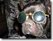 Už jsou zase v modě lenonky!!!