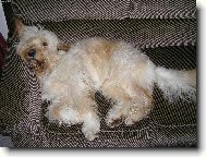 . . . pohoda, klídek a leháro. . .