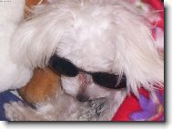 Očekávám léto!!!