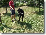 Já tu vodu chytím!