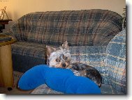 Konečně je pánička v nedohlednu