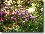 nááádhera že ano